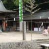 Ōyamazumi Shrine Otaue Matsuri (Rice-planting festival) (Imabari)